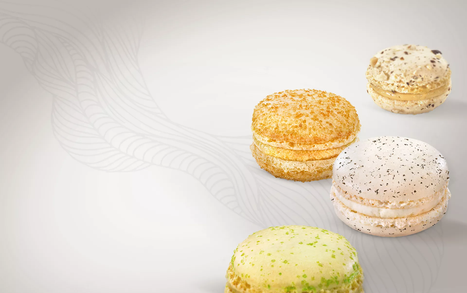 Macaron